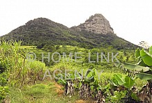 For sale agricultural land of 4 arpents 32 perches at Montagne Blanche